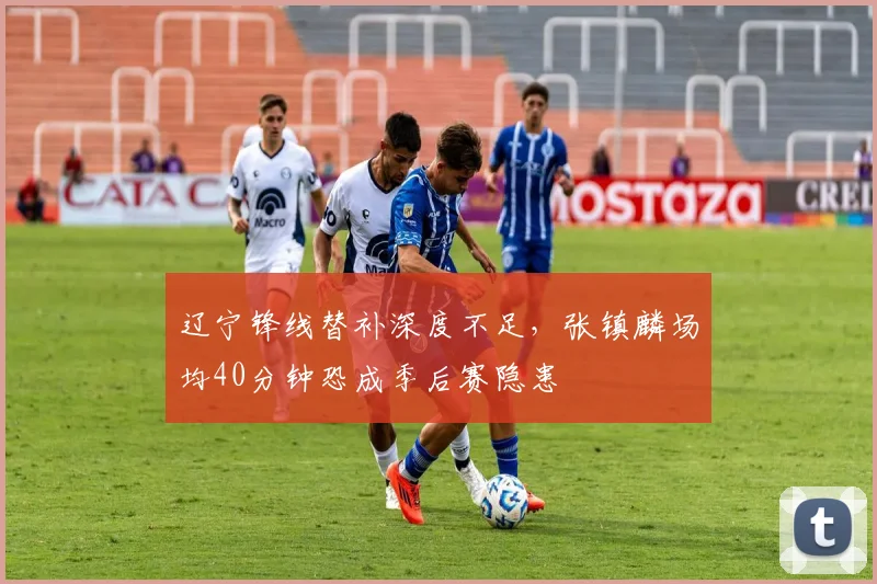 辽宁锋线替补深度不足，张镇麟场均40分钟恐成季后赛隐患