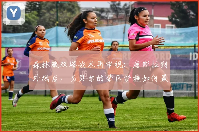 森林狼双塔战术再审视：唐斯拉到外线后，戈贝尔的禁区护框如何最大化